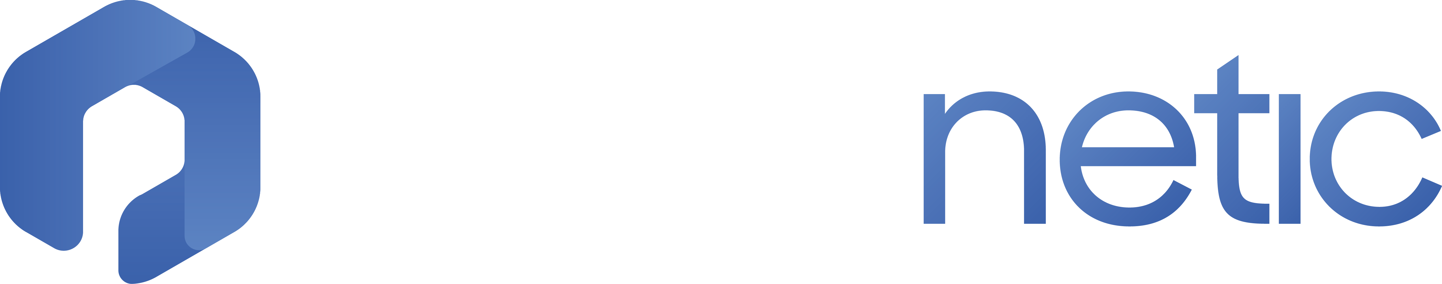 Proxynetic Logo